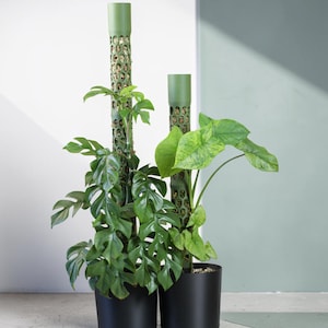 Modular Moss Pole with Drip-Watering Reservoir | Stackable Plant Stand Support with planter | BravePot