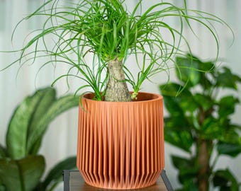 Ribbed Terracotta color Planter | Modern Minimalist Mid Century Pot with Drainage