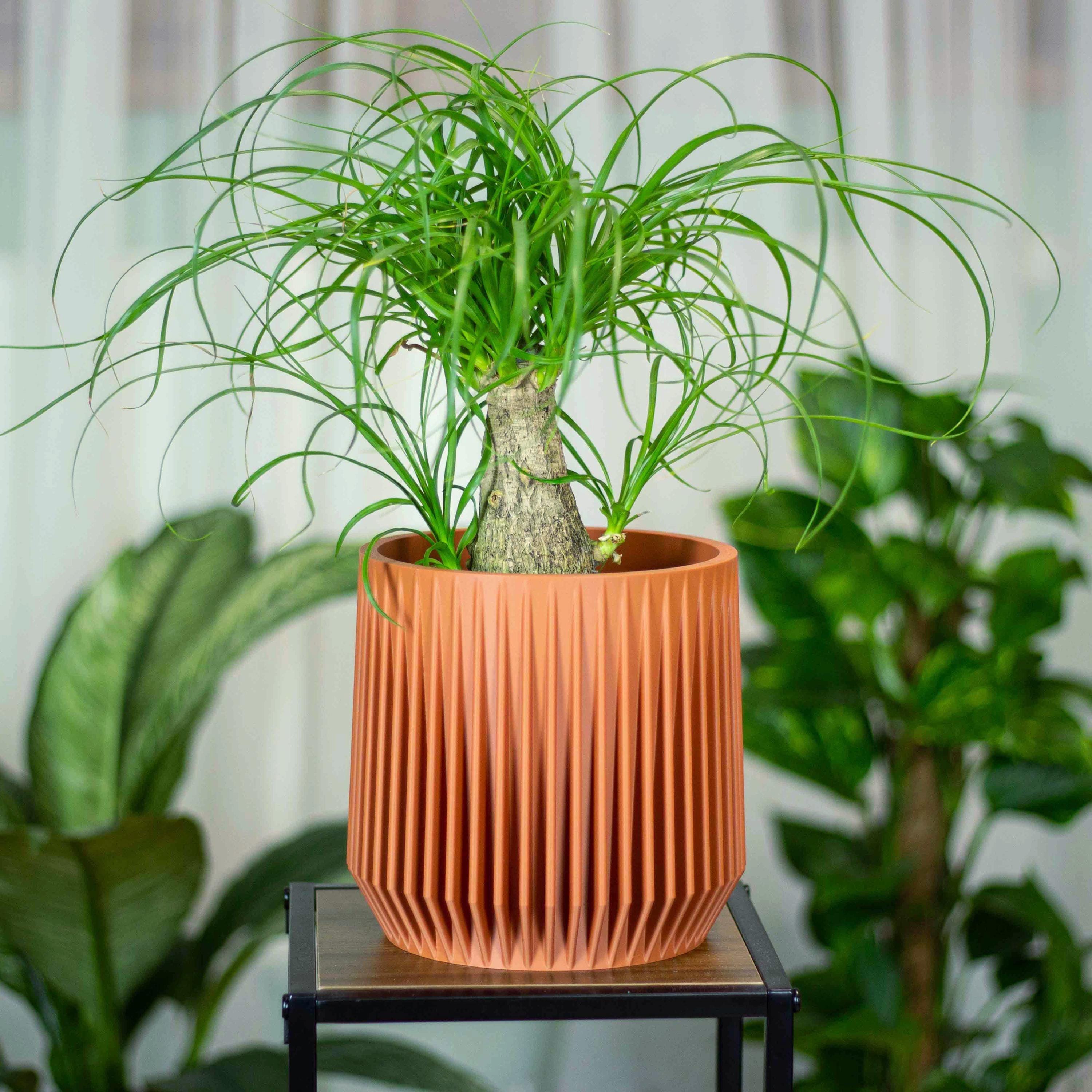 Mid Century Terracotta Planters - Etsy
