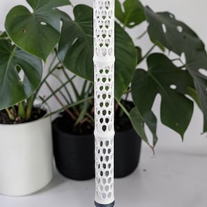 Può includere: Un alto tutore verticale per piante caratterizzato da un corpo cilindrico bianco con un motivo a reticolo a nido d'ape. La struttura è sostenuta da una base circolare grigio scuro con piccole perforazioni, progettata per la stabilità nel terreno.