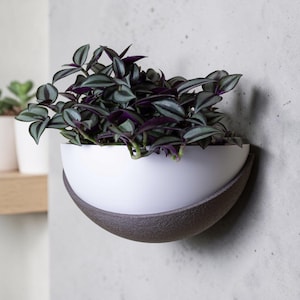 Modern Wall Planter – Floating Indoor Plant Pot
