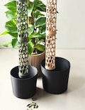 Modular Moss Pole with Drip-Watering Reservoir | Stackable Plant Stand Support with planter | BravePot product logo
