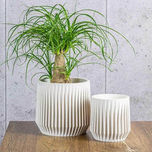 Vaso per piante moderno a coste con sottovaso nascosto / Fioriera da interno bianco avorio, in PLA ecologico
