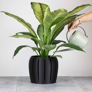 May include: A lush green and white variegated plant with long, pointed leaves potted in a matte black, vertically ribbed cylindrical planter, accompanied by a light sage green watering can with a curved handle and a long, slender spout.