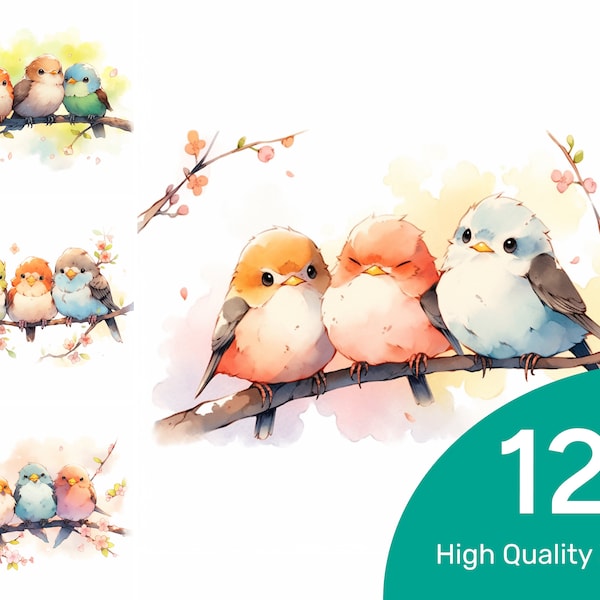 3 Cute Birds Clipart - 12 High Quality PNG Watercolor Clipart Digital Download Print Card Making Printable Digital Paper