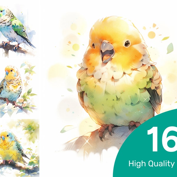 Budgie Parrot Clipart - 16 High Quality PNG Watercolor Clipart Digital Download Print Card Making Printable Digital Paper