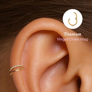 18G/16G Double Titanium Hinged Segment Nose Ring •  Nose Hoop •  Seamless Hinged Clicker Hoop •  Septum Ring • Hoop Earring • Piercing