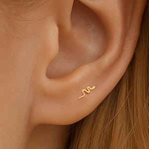 316L kirurgiskt stål • Liten ormörhänge • Liten Cz-örhänge • Minimalistiskt örhänge • Elegant örhänge
