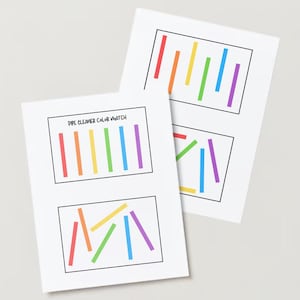May include: Two sheets of paper with a black and white outline of pipe cleaners in different colors. The top sheet has the words "Pipe Cleaner Color Match" written on it. The bottom sheet has a rainbow of pipe cleaners in a row, then a random assortment of pipe cleaners.