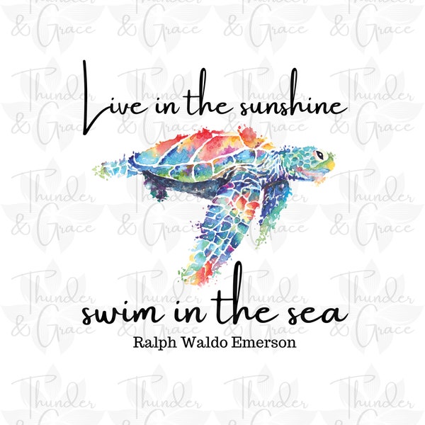 Live In The Sunshine PNG, Rainbow Sea Turtle Lover, Inspirational Printable, Literary Quote, Book Lover Sublimation, Digital Download