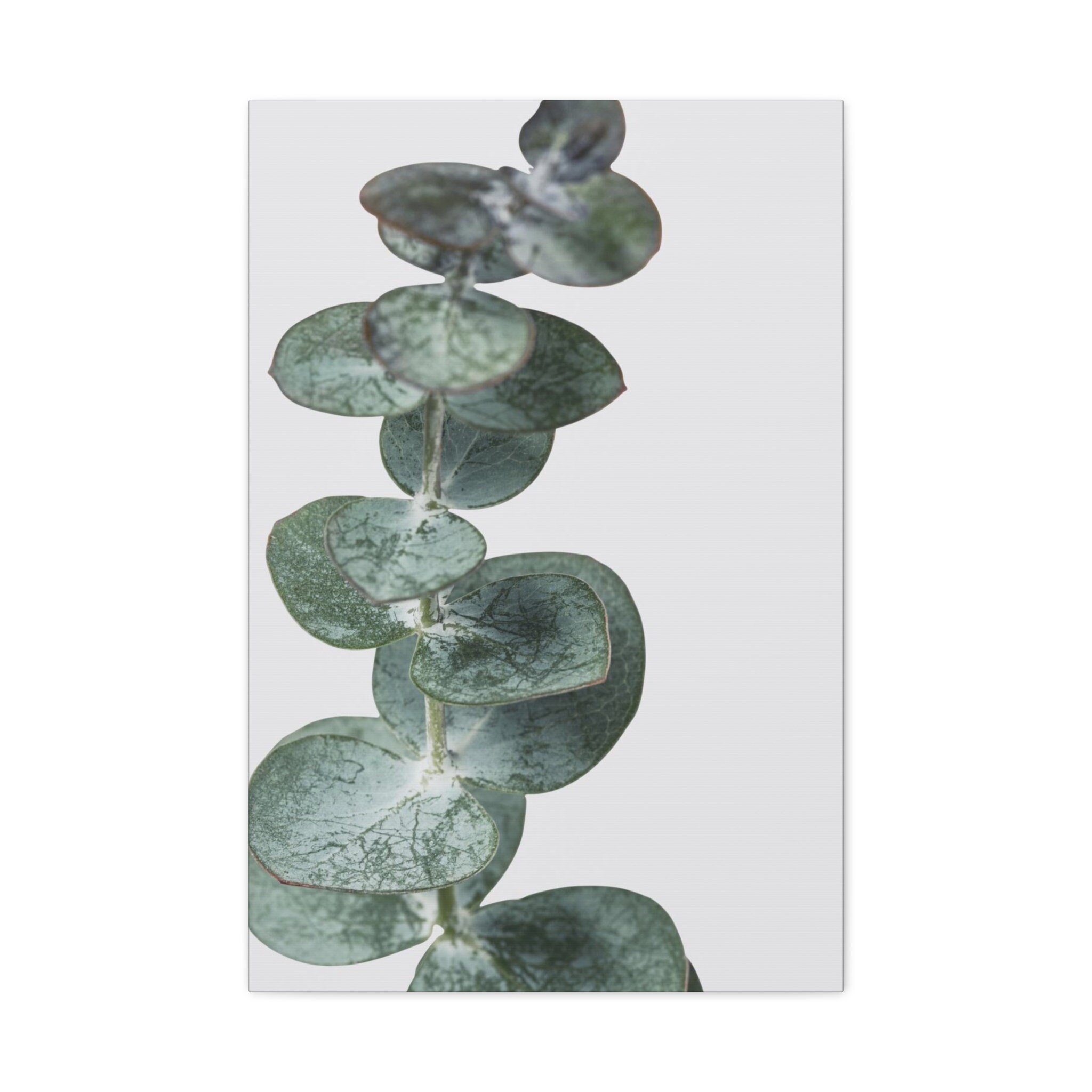 Sage Green Wall Art Sage Green Canvas Print 1.25 Depth Etsy UK