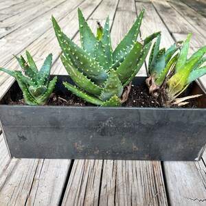 Small Planter Pots with Saucer, Succulent Pots image 2