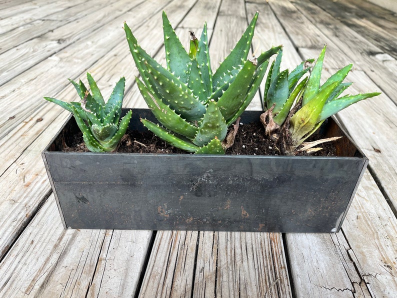 Small Planter Pots with Saucer, Succulent Pots image 2