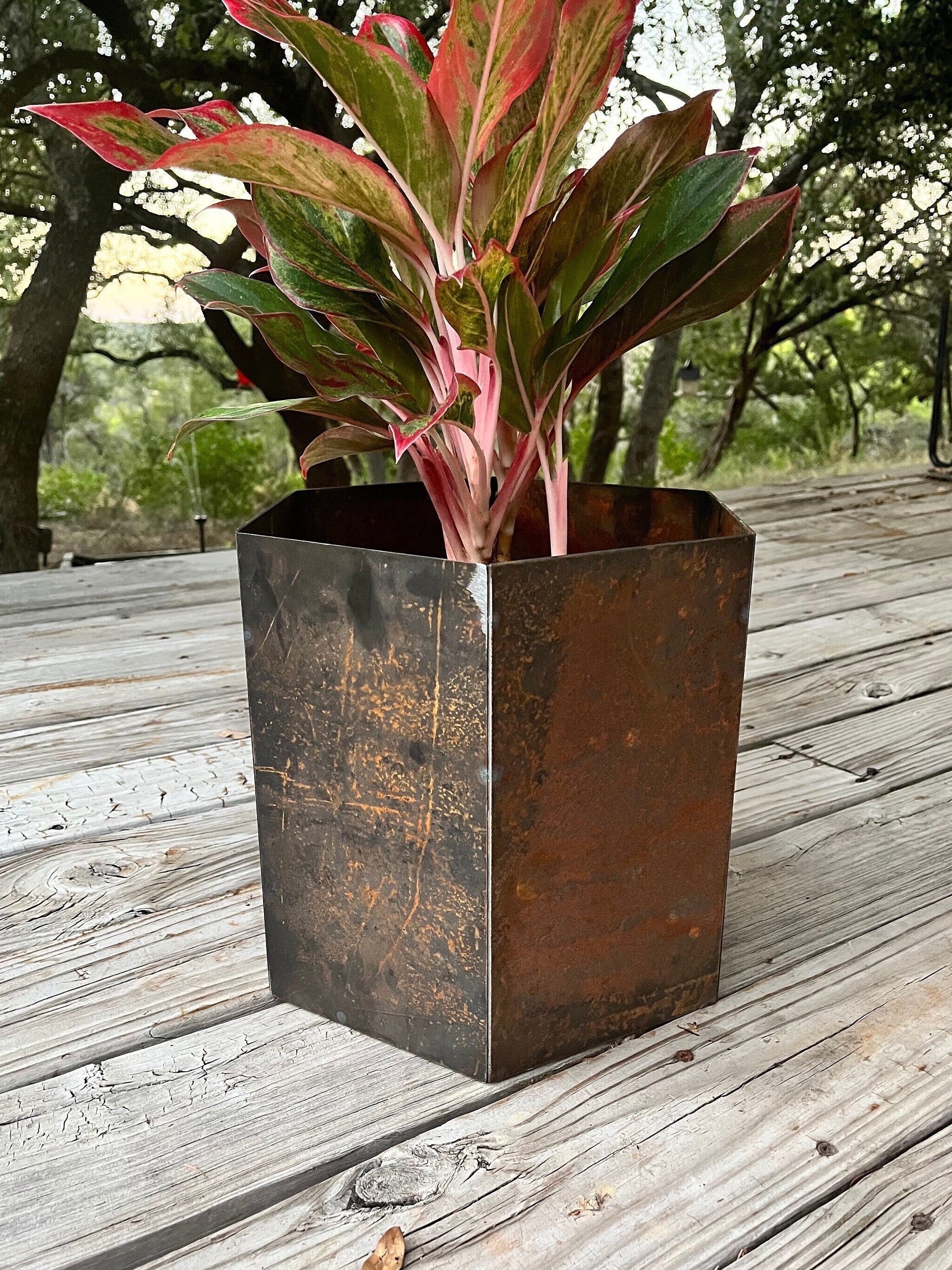 Hexagon Planter Pots, Patina Metal with Drainage and Drain Pan/Saucer