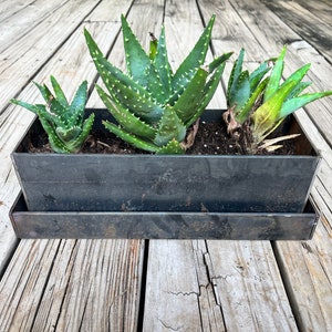 Small Planter Pots with Saucer, Succulent Pots image 1