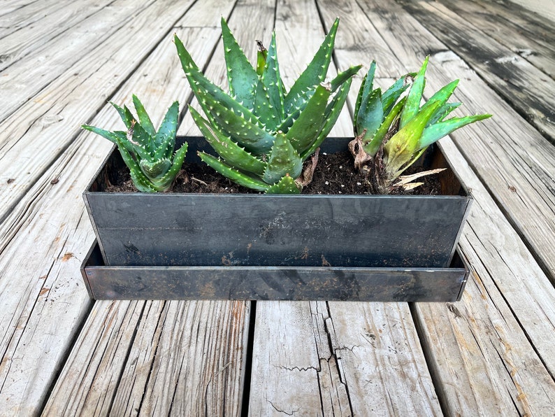 Small Planter Pots with Saucer, Succulent Pots image 1