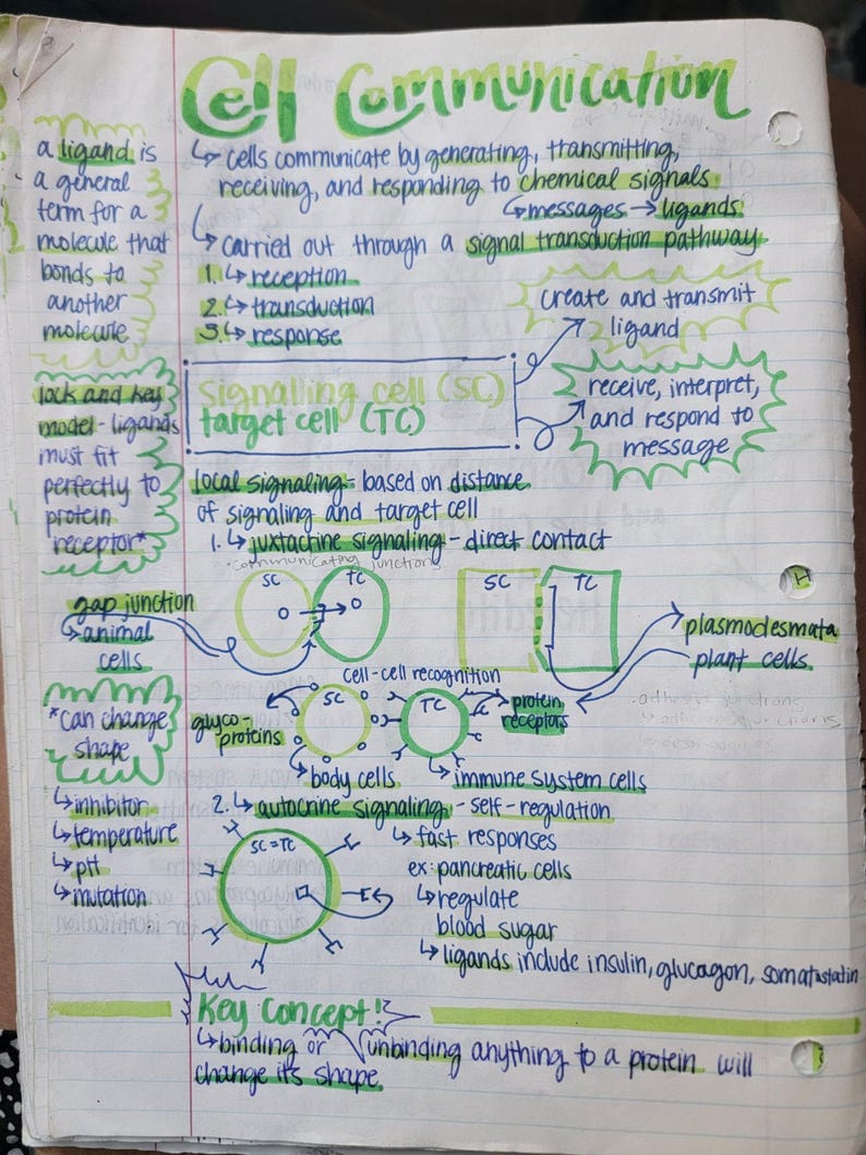 AP Biology Notes - Etsy