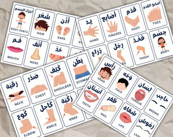 Body Parts Flashcards in Arabic and English