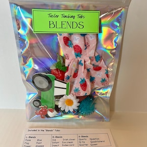 May include: A clear plastic bag with a green label that says "Tusler Teaching Tubs BLENDS". Inside the bag are various colorful learning aids, including a pink dress with strawberries, a green tractor, a red crab, a white daisy, and a blue pom-pom. The bag also includes a card with the words "Included in the "Blends" Tubs:" and lists different letter blends and corresponding words.