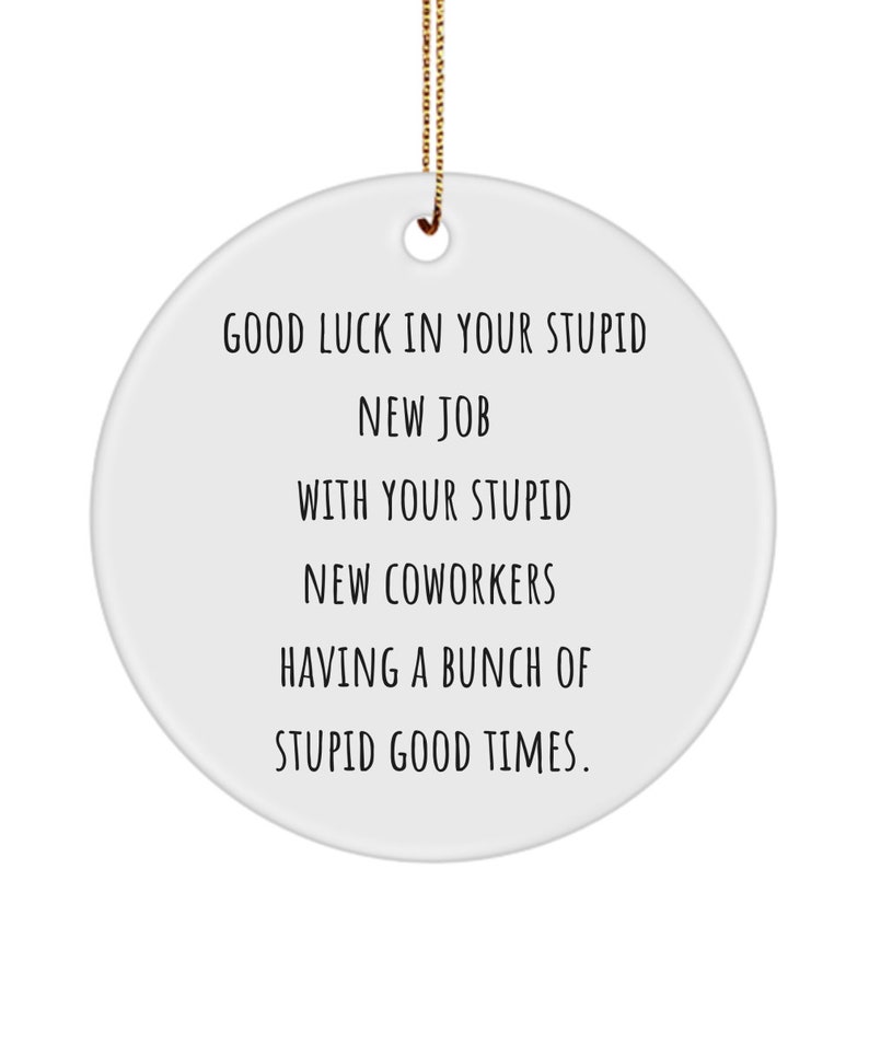 Good Luck With Your Stupid New Job Coworker Gift. Good Luck Gift Etsy