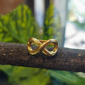 Peut inclure: Une bague dorée en forme de symbole infini. La bague est posée sur une branche marron foncé, avec un arrière-plan vert flou. La bague a un design simple et élégant, avec une finition polie.