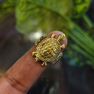 May include: A gold-colored turtle ring. The ring features a detailed turtle design with a textured shell and intricate detailing on the head and flippers. The ring is shown on a finger.