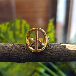 Pode incluir: Um anel dourado com o símbolo da paz. O anel é circular com o sinal da paz no centro. O anel está colocado num galho de madeira castanha escura sobre um fundo desfocado verde e castanho.