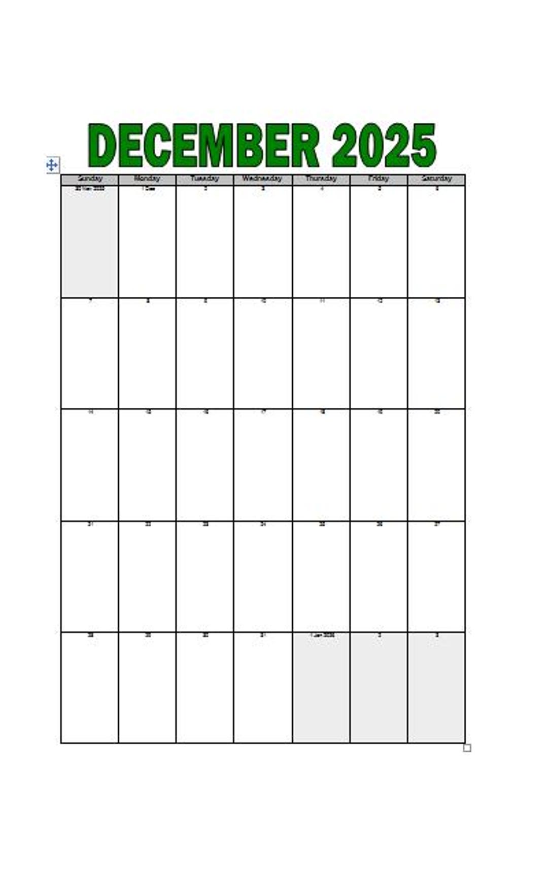 December 2025-december 2026 Fiscal Year Calendar: Lined Portrait ...