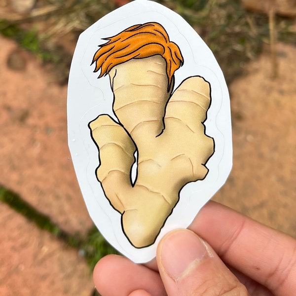 It's a ginger Vegetable Sticker