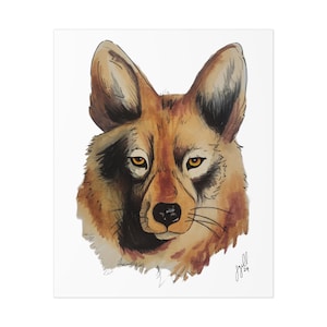 Wild Coyote Watercolor Art Print