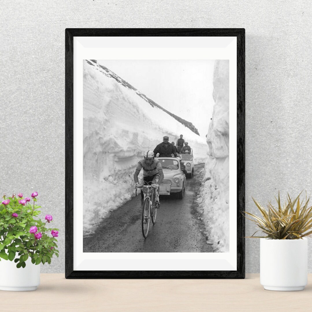CHARLY GAUL POSTER |  Stelvio Giro d'Italia Poster | Cycling Poster |  Charly Gaul Walkpaper, Available for a Limited Time Only!