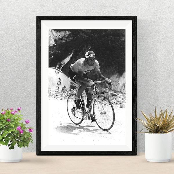 Photo Vintage Cyclisme Eddy Merckx - Tirage Argentine Presse 21 X 30 Cm - Farabola