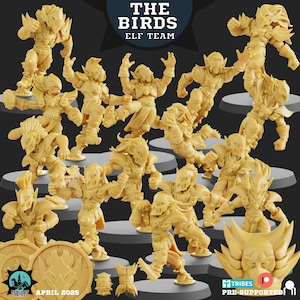 The Birds Team - 15 miniatures hautes elfes imprimées en 3D de haute qualité | Blood Fantasy Football Bowl | Royaume des chemins
