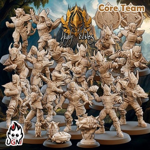 Équipe des Hauts Elfes : 16 figurines Fantasy Football UGNI