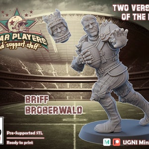 Briff Brobevald: miniatuur fantasievoetbalster - UGNI