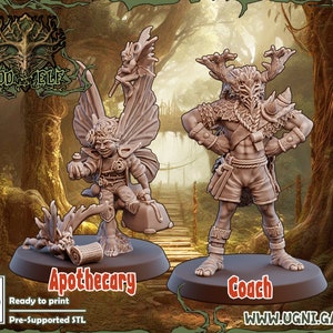 Wood Elf Elves Coach Apotheker UGNI Miniatures