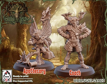 Wood Elf Elves Coach Apothecary | Miniatures for Fantasy Football | Compatibile with Bowls game | Bases + Extra included | UGNI Miniatures