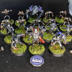 Painted Vampire Bloody Kingdom  Team + Feldherr Bag for Fantasy Football Realm of paths