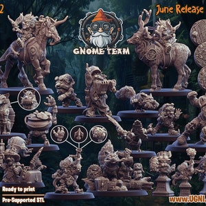 Complete Gnome Team Fantasy with Star Players and Staff Football UGNI Miniatures