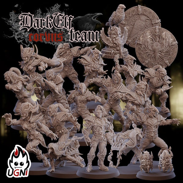 Dark Elf Team Corvus Cabal Fantasy Football UGNI Miniaturen