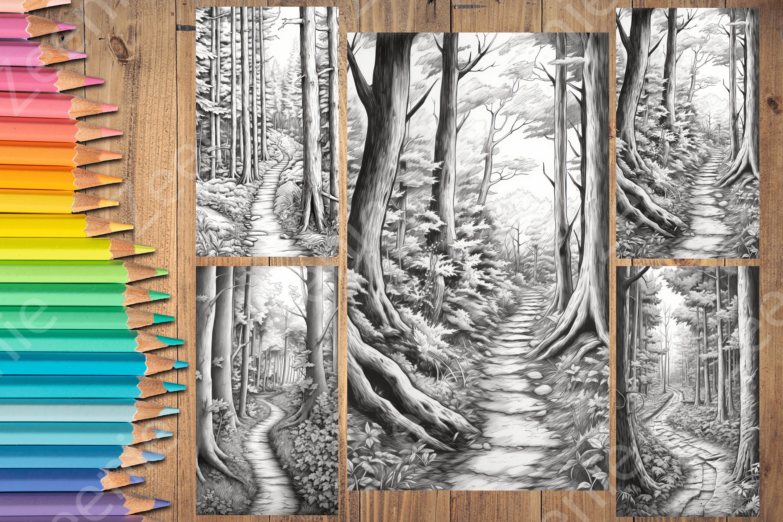 Pathfor Coloring 24 Serene Forest Paths Coloring Book - Adults Kids Coloring Pages ...