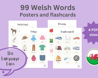 99 Welsh Words Flashcards & Posters | Welsh Vocabulary | Printable Welsh Flashcards | Dysgu Cymraeg