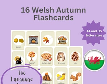 Welsh Autumn Flashcards | 16 Cymraeg Vocabulary Cards (Digital Download)
