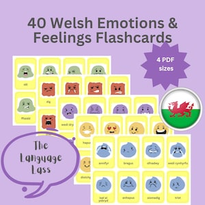 40 Tarjetas didácticas de emociones galesas / Tarjetas de vocabulario galés / Aprendizaje de idiomas Dysgu Cymraeg