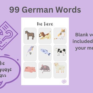German Vocabulary Flashcards: 99 Starter Words (PDF) - Etsy