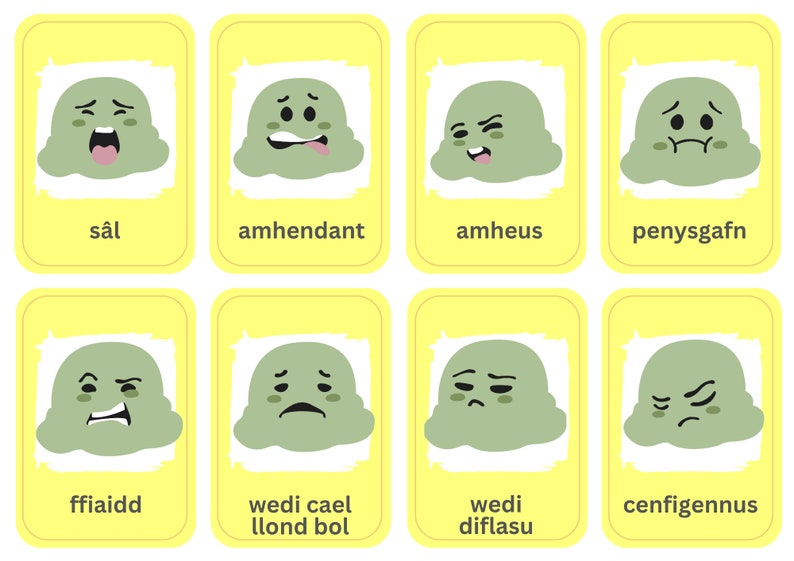 40 Welsh Emotions Flashcards Welsh Flashcards Dysgu Etsy UK