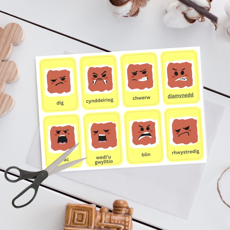 40 Welsh Emotions Flashcards Welsh Flashcards Dysgu Etsy UK