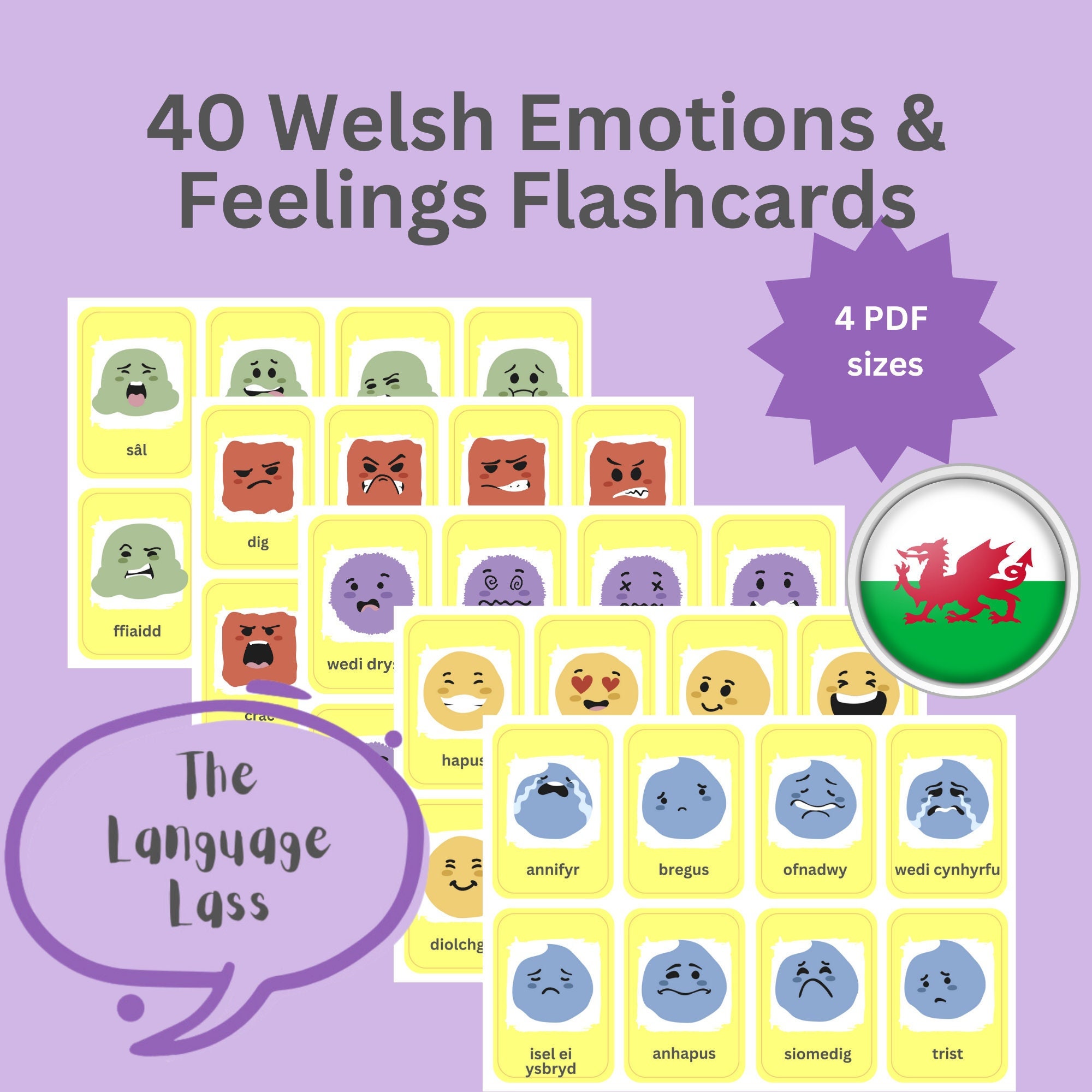 40 Welsh Emotions Flashcards | Welsh Vocabulary Cards | Dysgu Cymraeg Language Learning