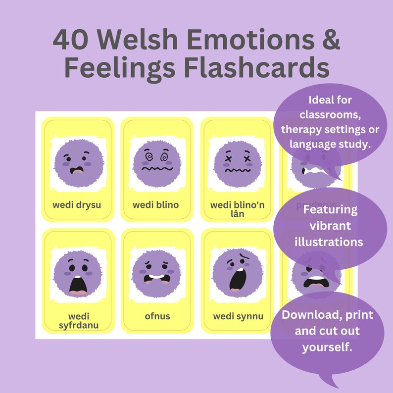 40 Welsh Emotions Flashcards Welsh Flashcards Dysgu Etsy UK
