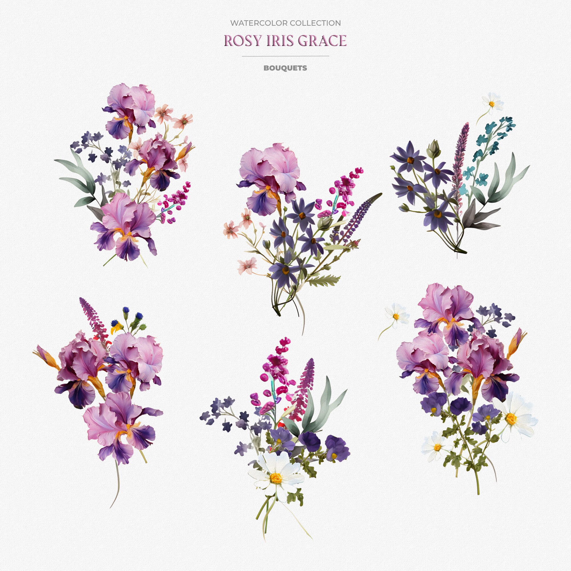 Wild Iris Watercolor Clipart Wild Iris Flowers Watercolor Etsy